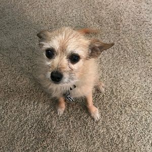 Meet your Posher, Diane